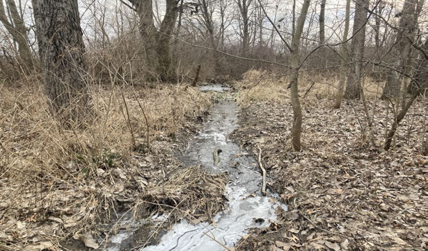 Site Photo 14 WOTUS Stream Channel